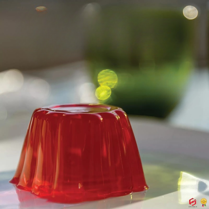 Pudding Cake Mold with Lid DIY - Baby Food Home avis et prix