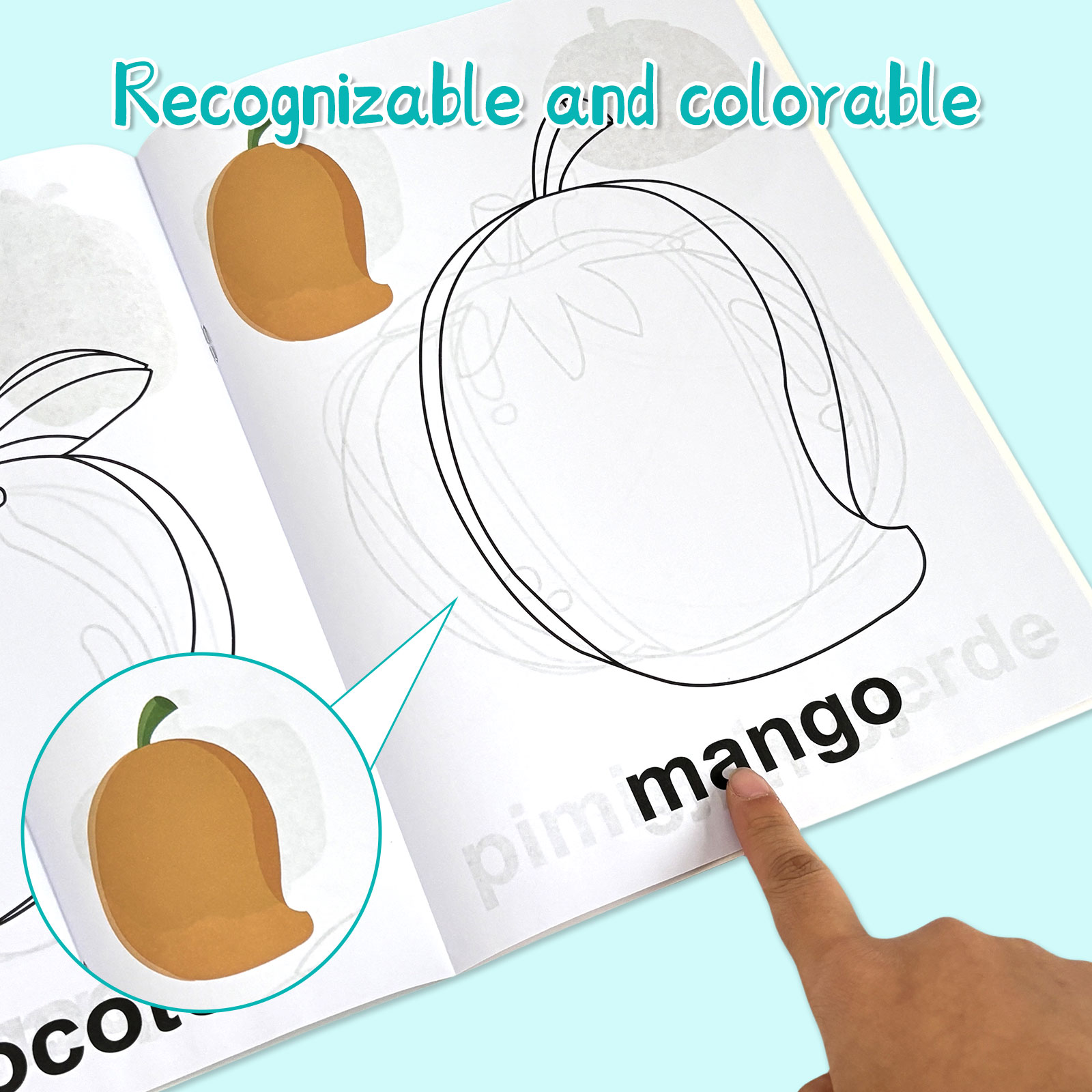 4 Pack Spanish Vocabulary Colo - Baby Food Year Old avis et prix
