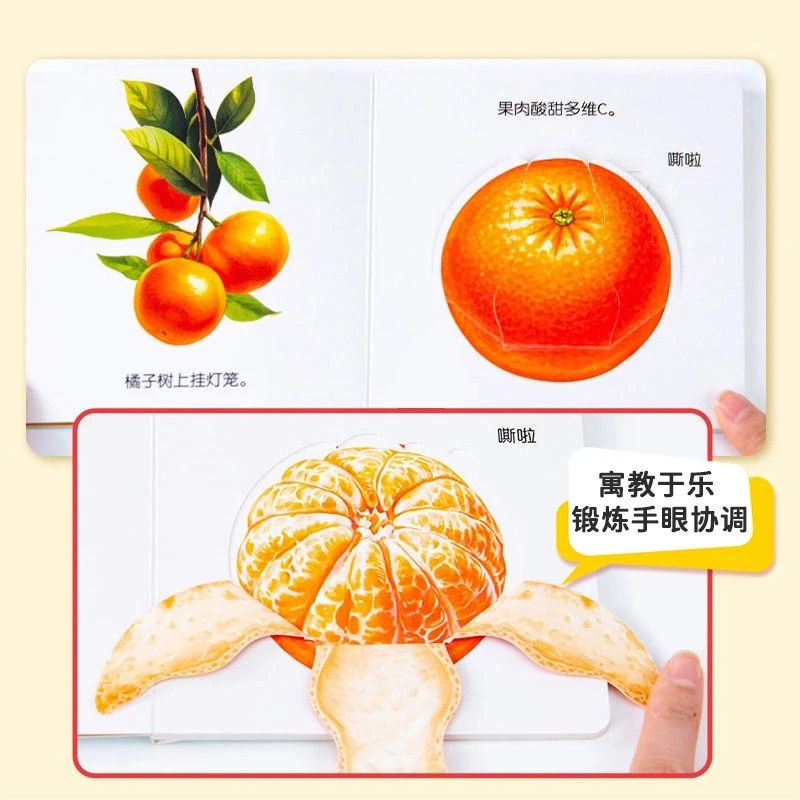Infant Food Education Flipbook - Baby Food Year Old avis et prix