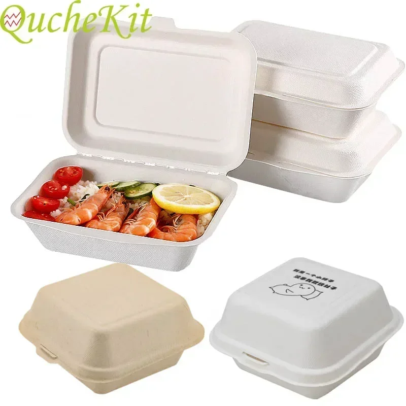 Disposable Eco-Friendly Lunch  - Baby Food Prep Containers avis et prix